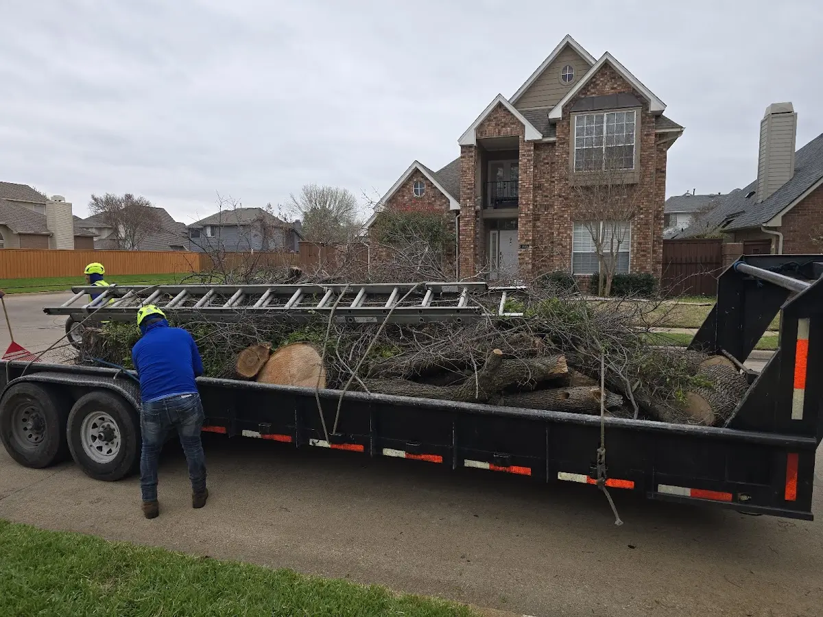 Expert Tree Fertilization with proper safety equipment in Nicholson